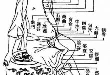 黄帝内经,十二经脉流注图,速查图-黎生博客